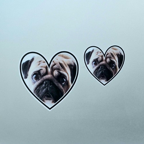 Carlin chiot animal love - 2x,
