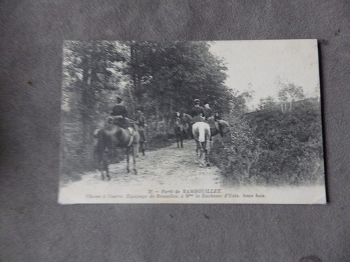 Cpa chasse courre - chasse,