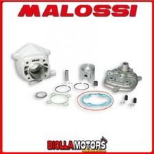 318430 CYLINDRE KIT MALOSSI