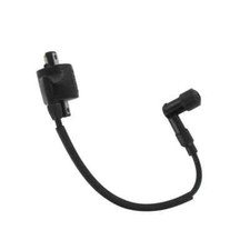 Bobine D'Allumage Module