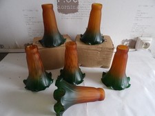 Lot de 6 Tulipes longues en