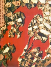 NEPHILIM LA DAME DE ONZE