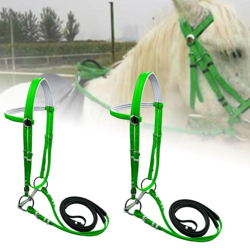 Bride cheval avec - cheval,