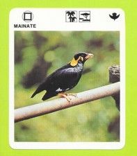 Fiche - Le livre de Paris - 1975 - Mainate