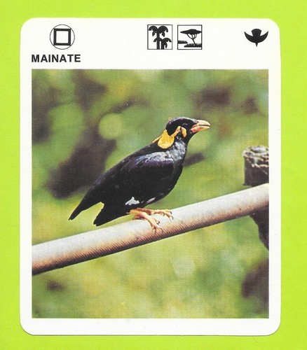 Fiche livre paris - livre,