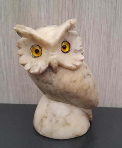 Chouette hibou albâtre - chouette, en