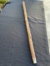 Antique Walking Cane