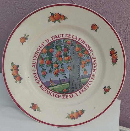 Assiette potasse alsace - assiette, d