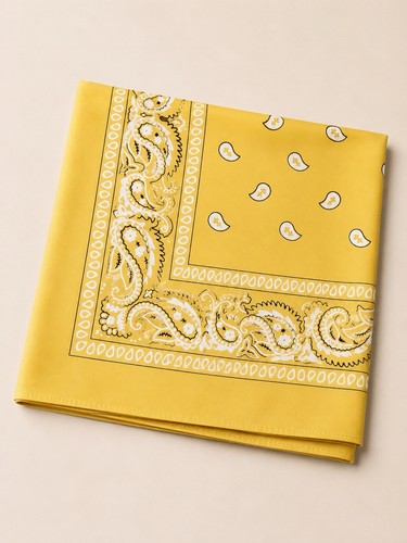 Bandana motif paisley - , –