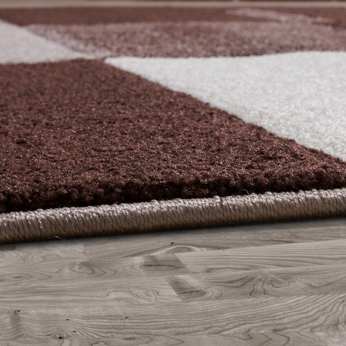 Salon tapis - tapis, poils