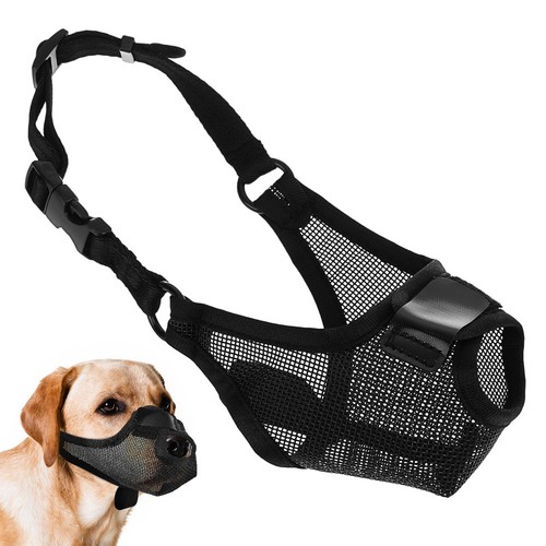 Muselière pour chien - ,
