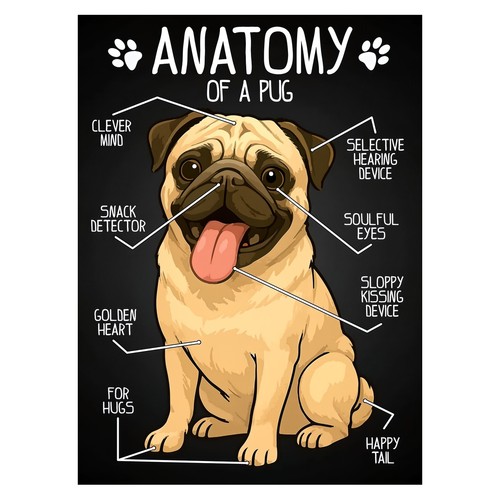 Affiche humoristique anatomie - affiche,