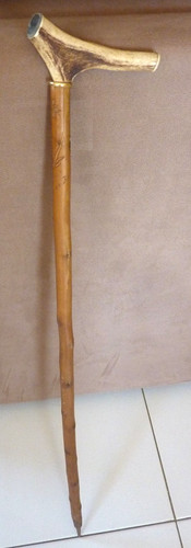 Canne pommeau bois - en, de