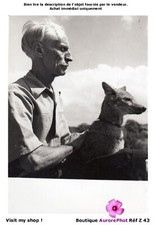 HENRY DE MONFREID, ÉCRIVAIN