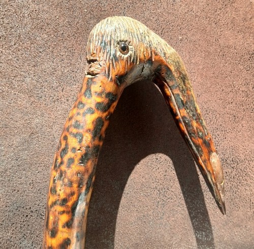 Canne tête oiseau ancienne - d'oiseau,