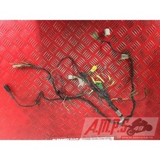 Faisceau électrique