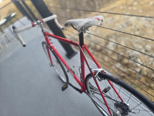 Eddy merckx vintage - eddy,