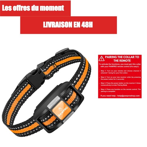 Collier dressage pawpro - collier, de