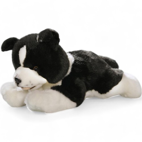 Carl dick border collie chien - dick,