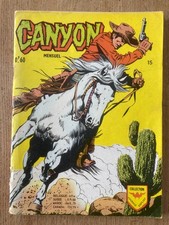 CANYON MENSUEL N° 15 pour 25