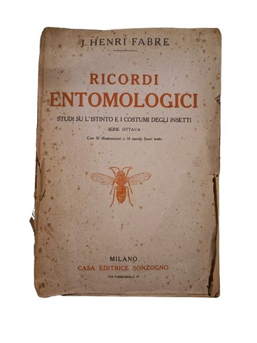 Ricordi entomologici fabre - ricordi,