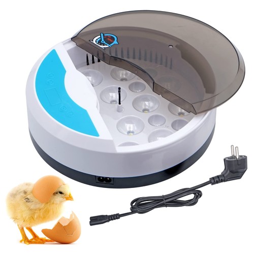 Mini oeufs incubateur - 9,