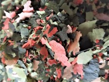 MALAWI FLAKE FOOD -  FLOCONS