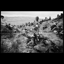 Photo M.000890 S.M. MONK FANTIC 240 SSDT SCOTTISH SIX DAYS TRIAL 1983