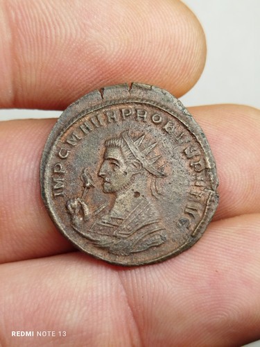 Probus aurelianus conservat - probus,