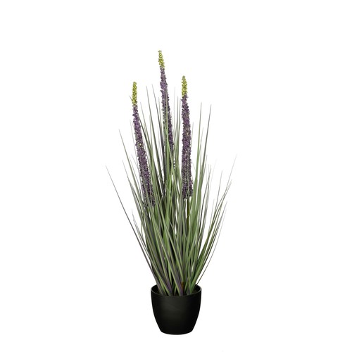 Mica decorations eremurus - mica, –