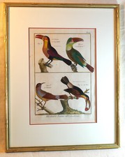 Ancienne gravure encadrement