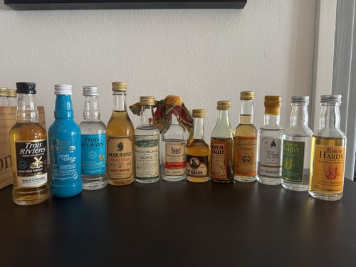 Lot mignonettes rhum divers - lot,
