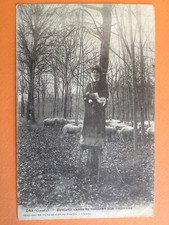 Old postcard Libourne LANDES STILTER SHEPHERDESS land guarding her her herd of sheep