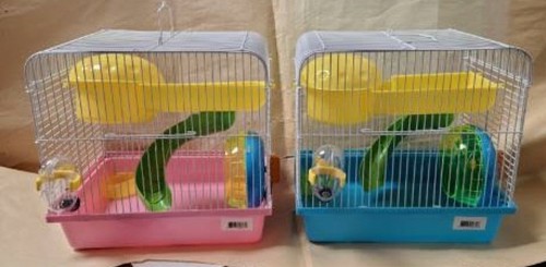 H167 small hamster - h167,