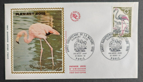 Flamant rose année - rose,, europeen