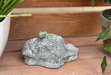 Sculpture en Pierre Gecko