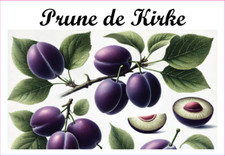 Prune de Kirke 12 sticker vinyl conserve fruit légume confiture fait maison