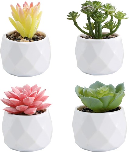 Bdhyym pièces plantes - 4,