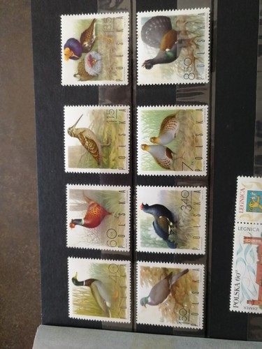 Timbres pologne neufs oiseaux - timbres,