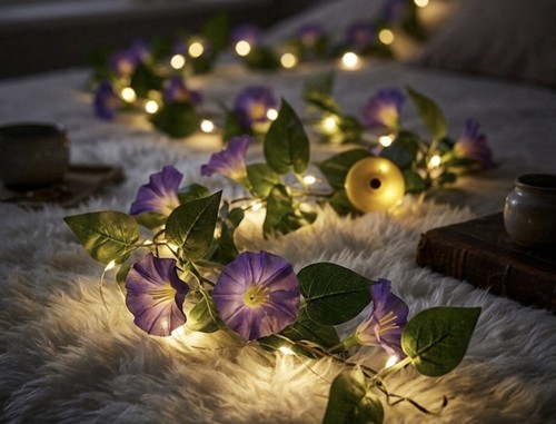 Guirlande lumineuse solaire