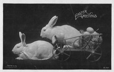 CPA FANTAISIE REPRESENTANT DES LAPINS BLANCS ATTELAGE
