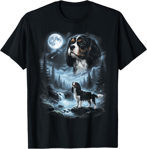 Cavalier king charles spaniel - king,