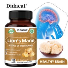 Champignon 700mg - Lions Mane