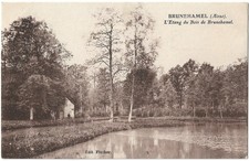 FR02 BRUNEHAMEL Etang Bois PEU