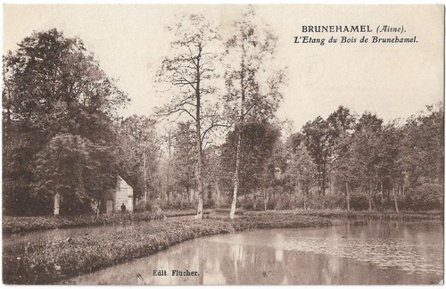 Fr02 brunehamel etang bois - fr02,