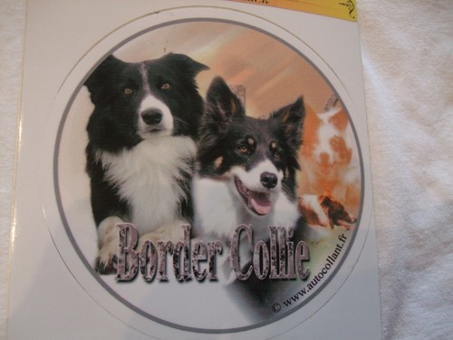 Autocollant motif chien - autocollant,