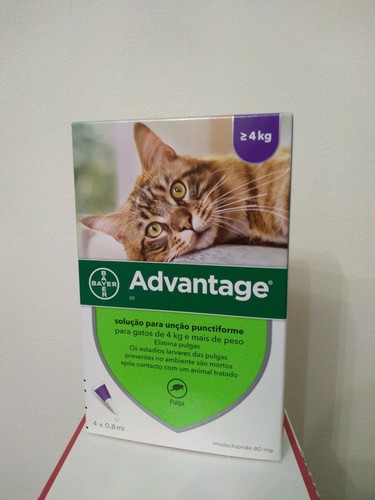 Advantage chat cat lapin - 80,