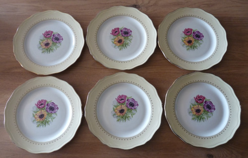 Assiettes plates - 6,