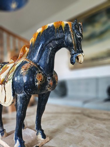 Cheval tang debut xxe - cheval,