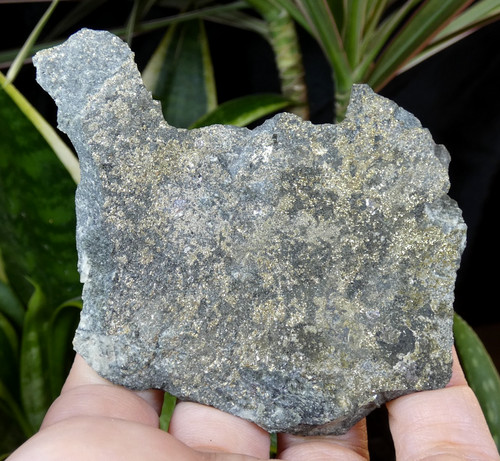 Pyrite sur ardoise - sur,